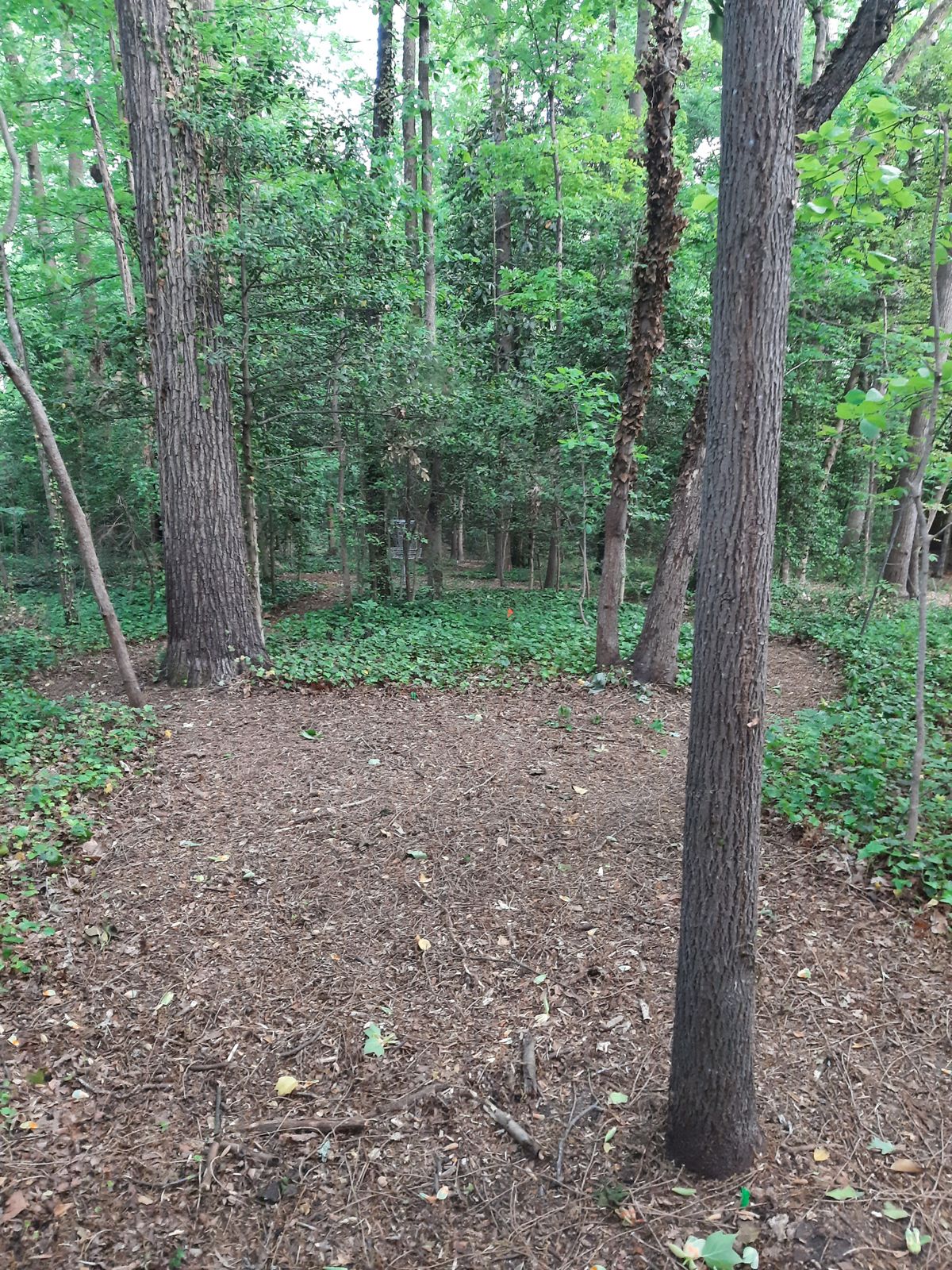 Hole 12 White Tee Left