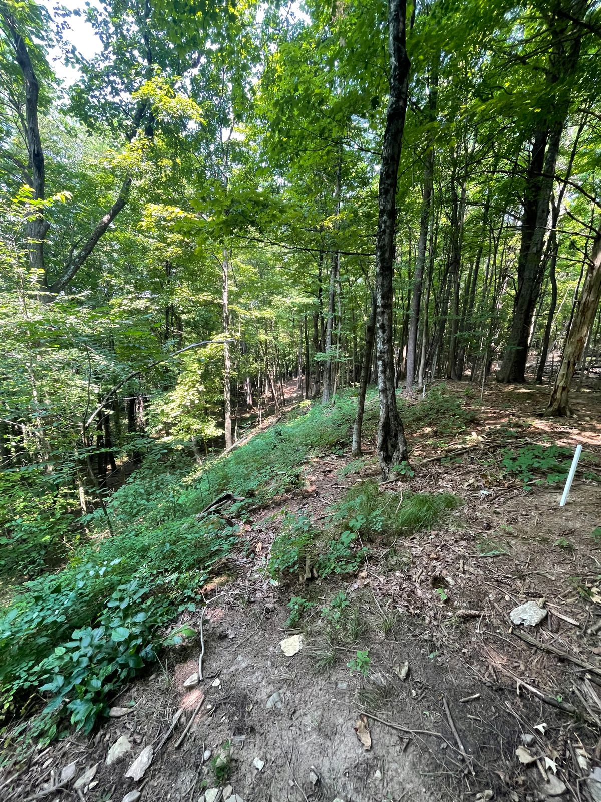Hole 6: hill on left is out of bounds
