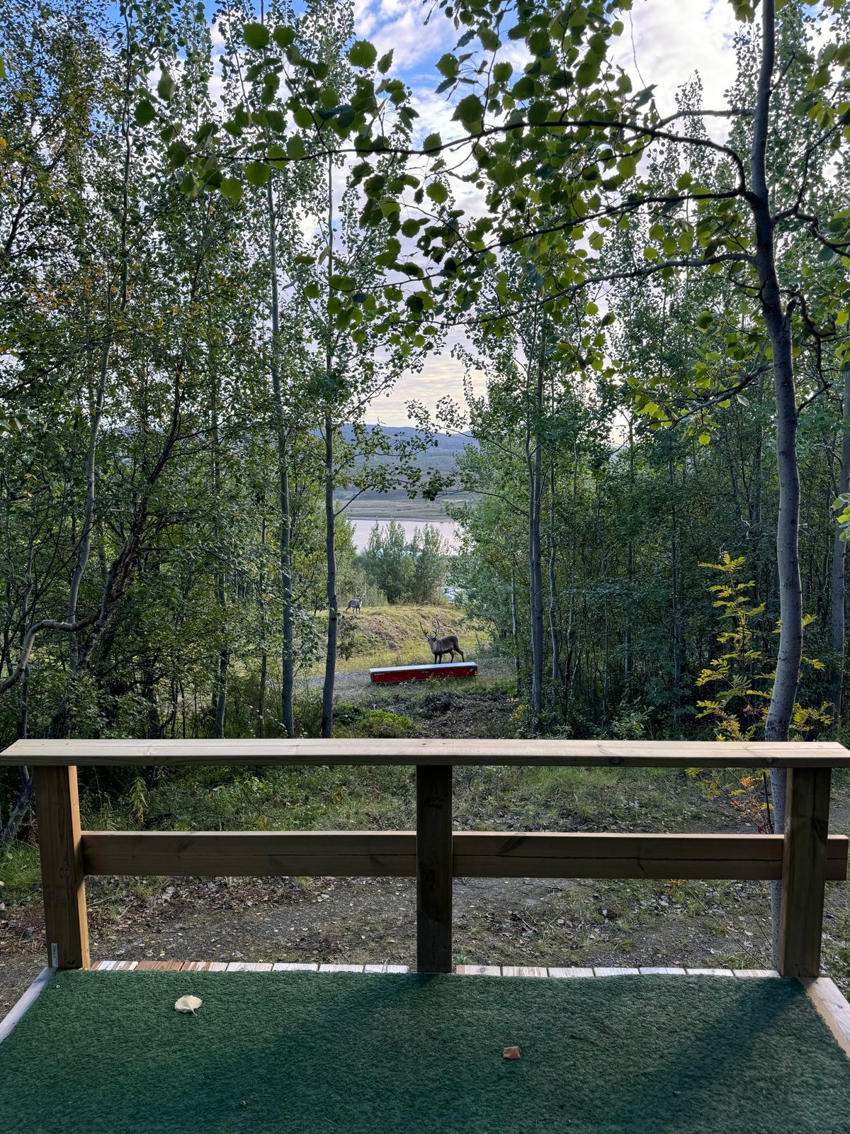 Sandnes Disc Golf Course