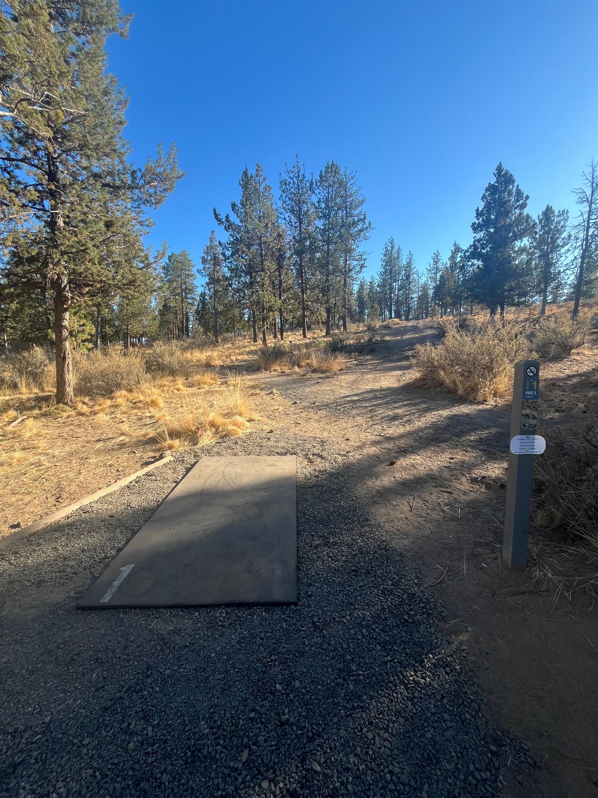 Tee pad 1