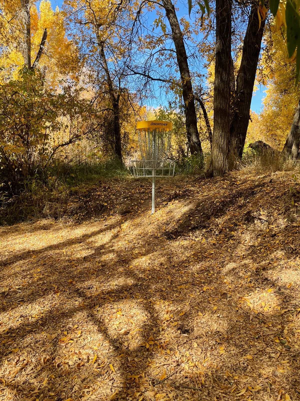 Basket Hole 1E