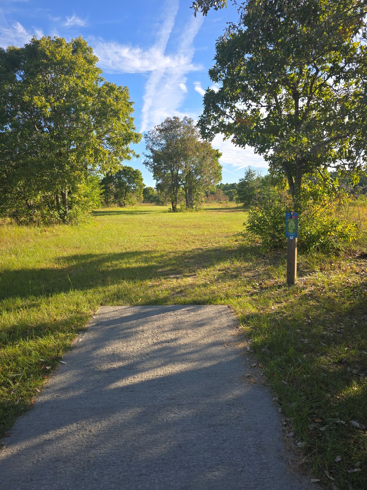 Tee Pad Hole # 8.