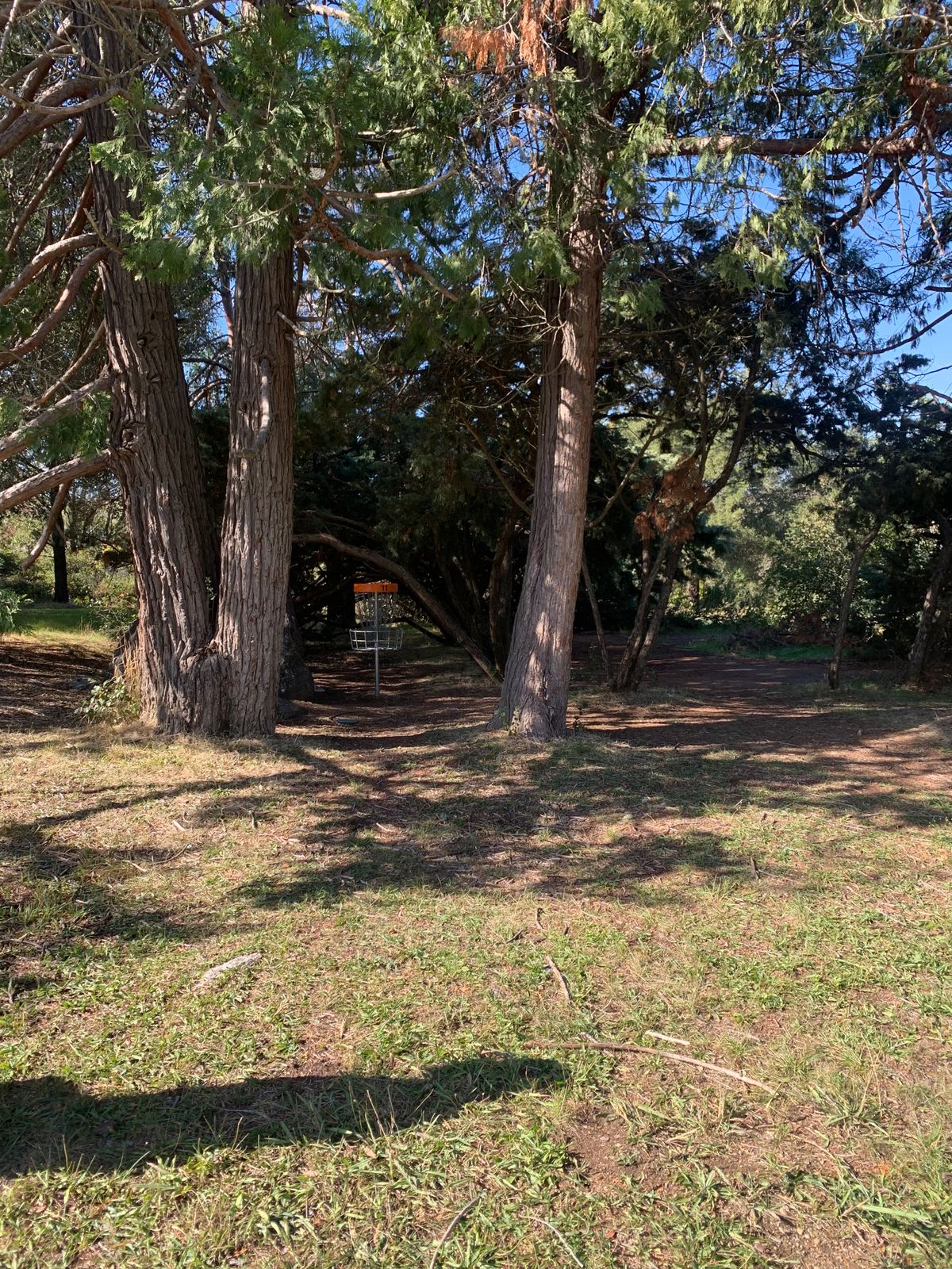 Hole 13