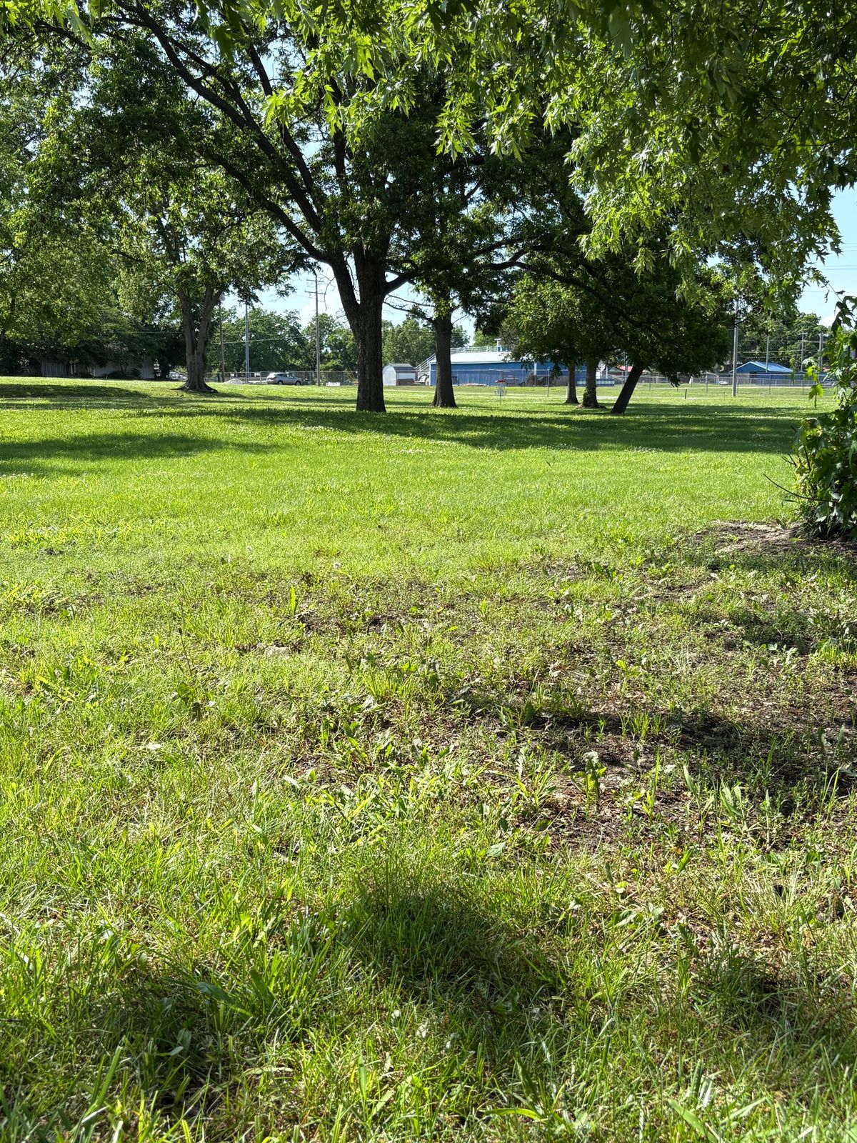 Hole 2