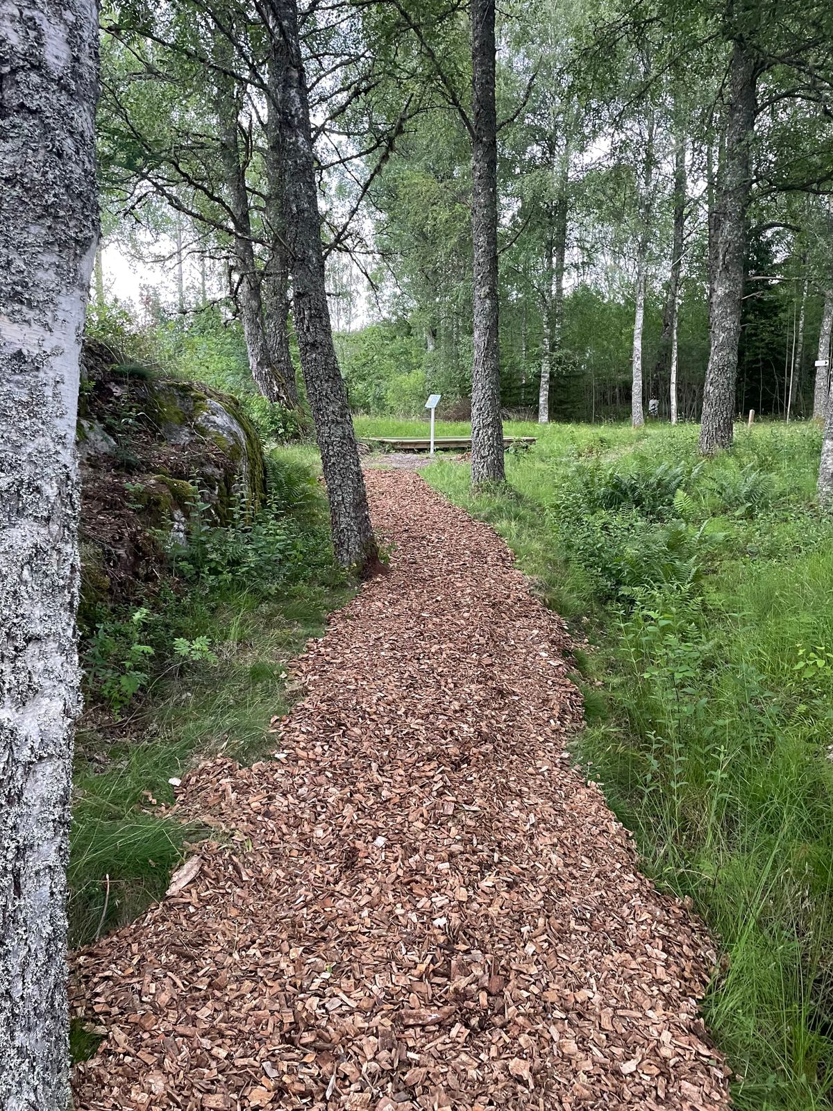 Gång till hål 1