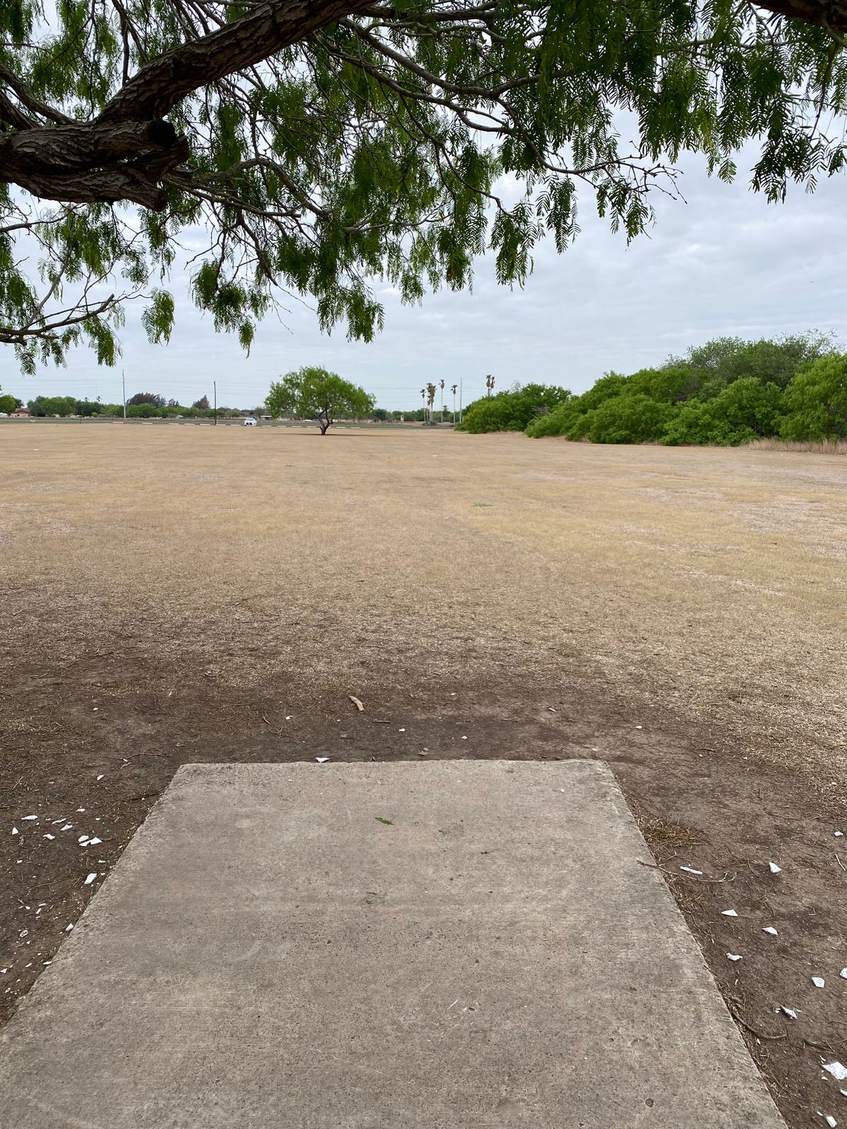 #8 par 4