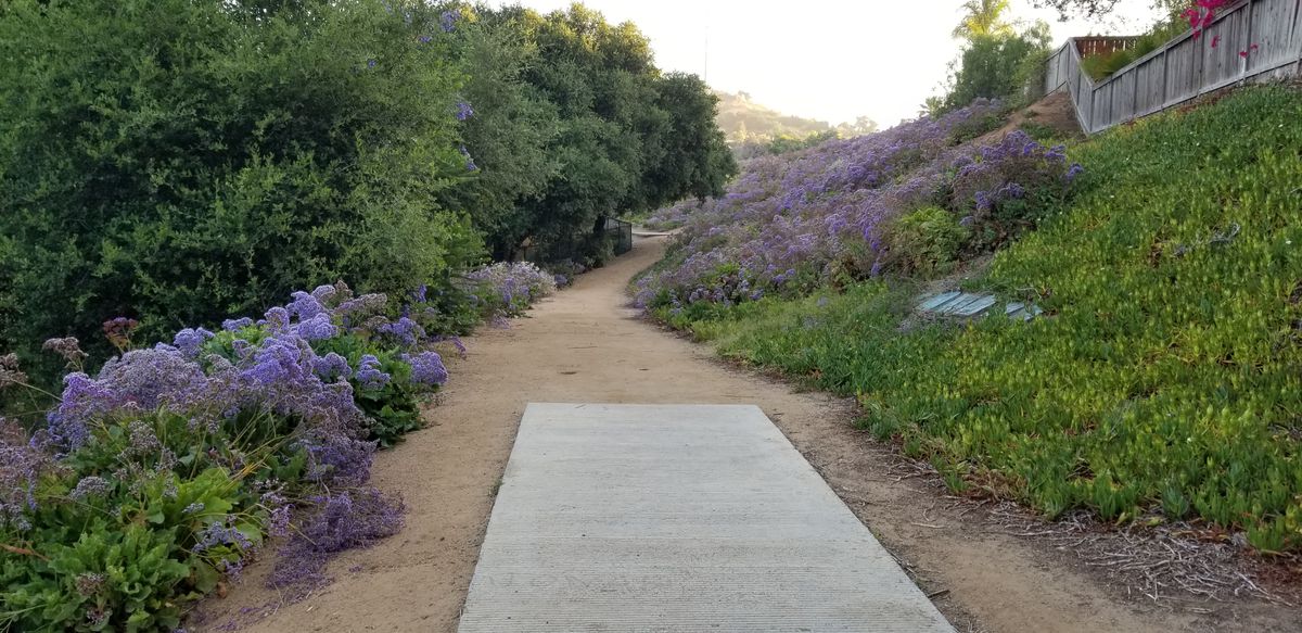 2b tee pad