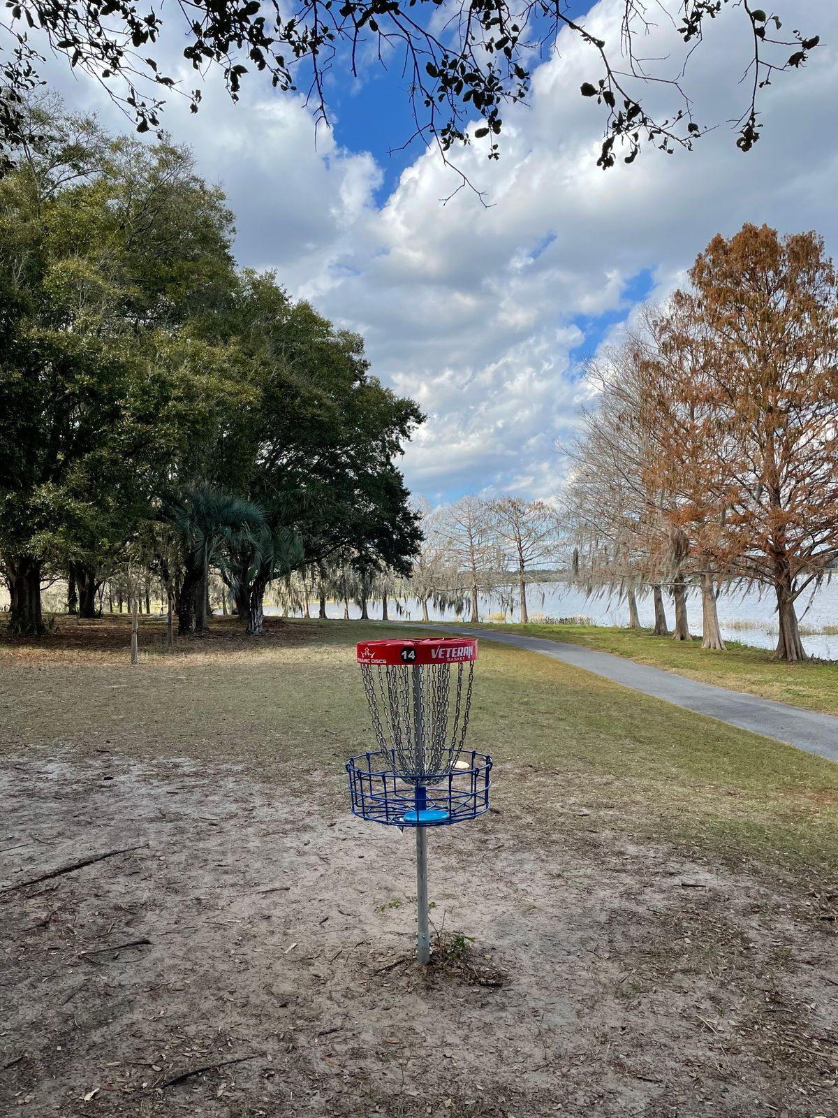 Hole 14 Veteran Basket