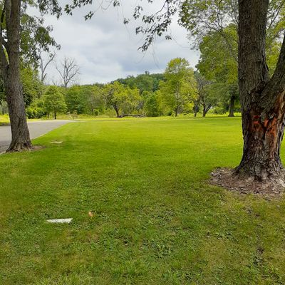 Hole 3 tee (basket is across the road right behind the fallen tree)