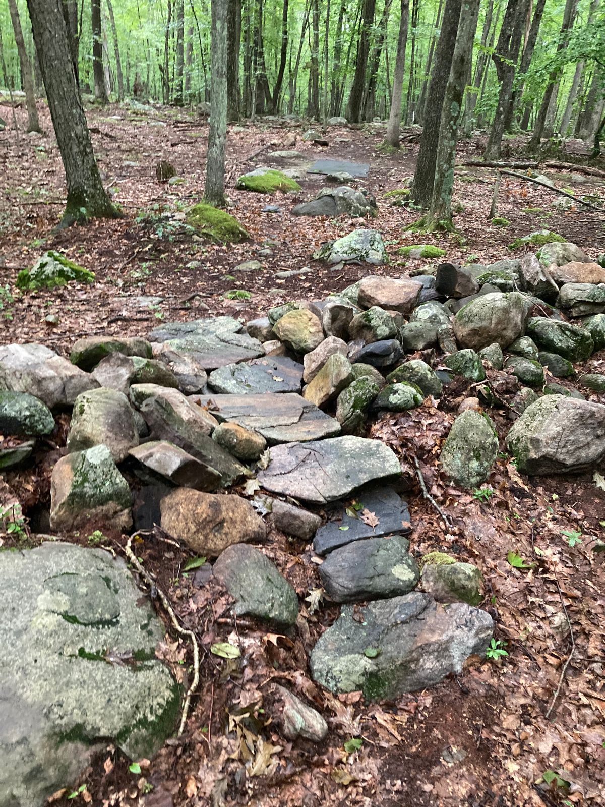 Great rock bridge! 13A.