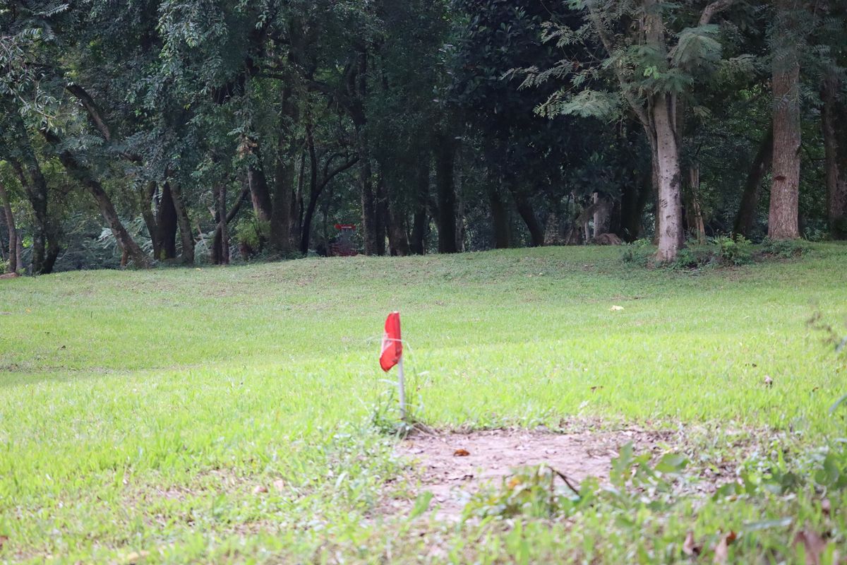 Hole 17 Short Tee