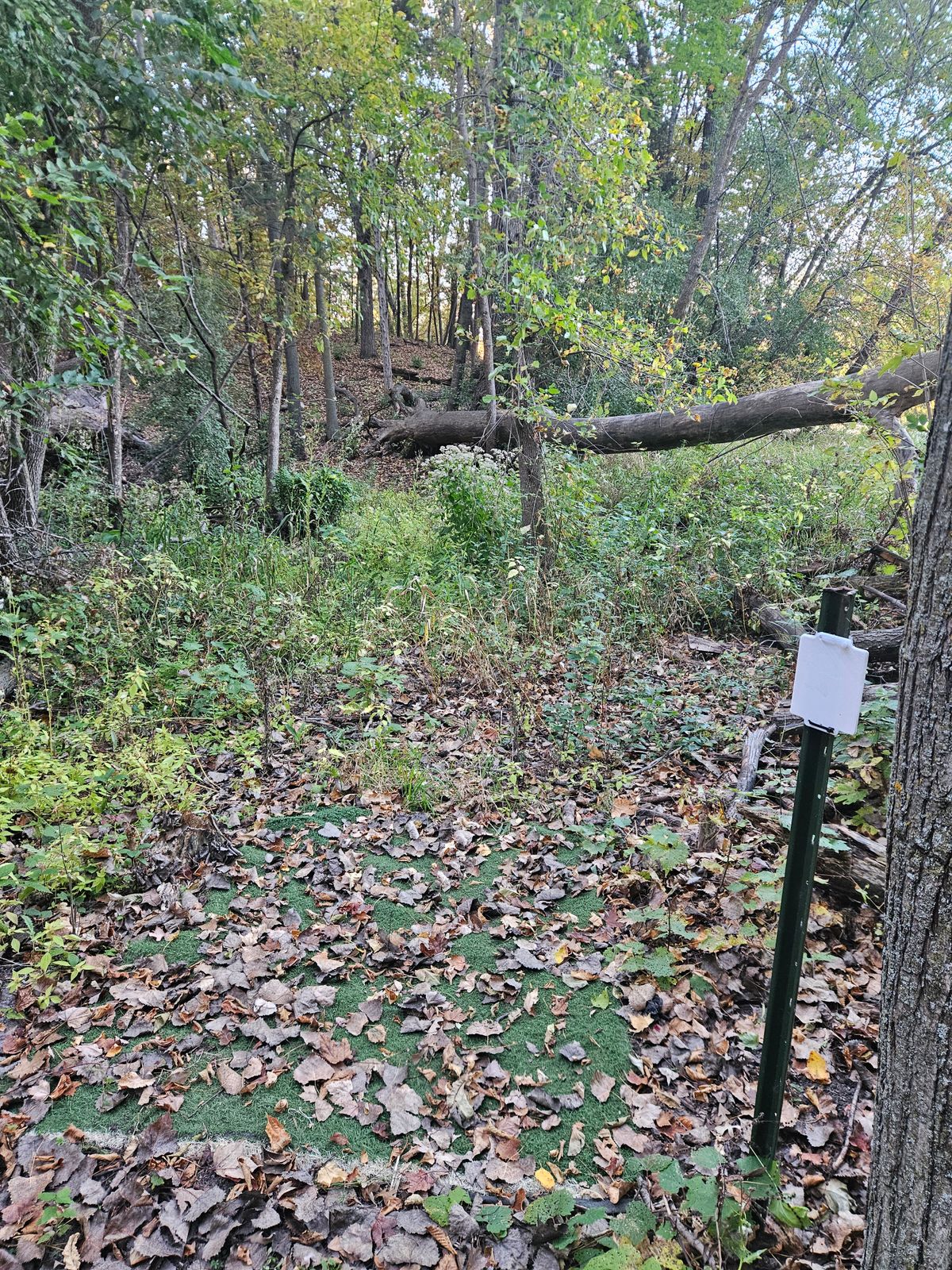 Hole 2