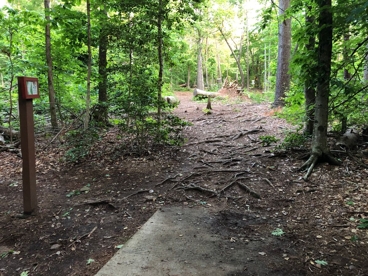 Hole 17 Launch Pad