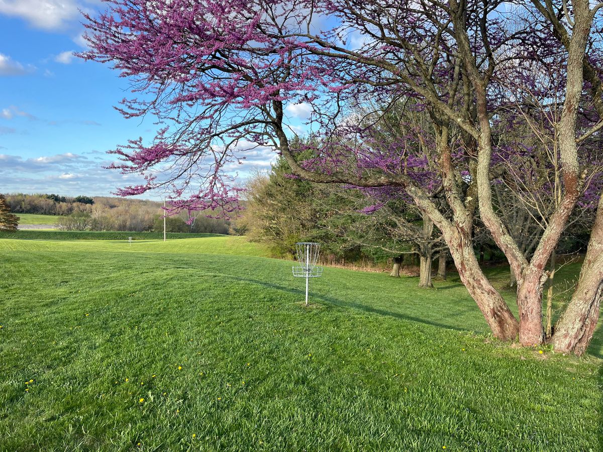 #5 basket. Standing close to # 6 tee.