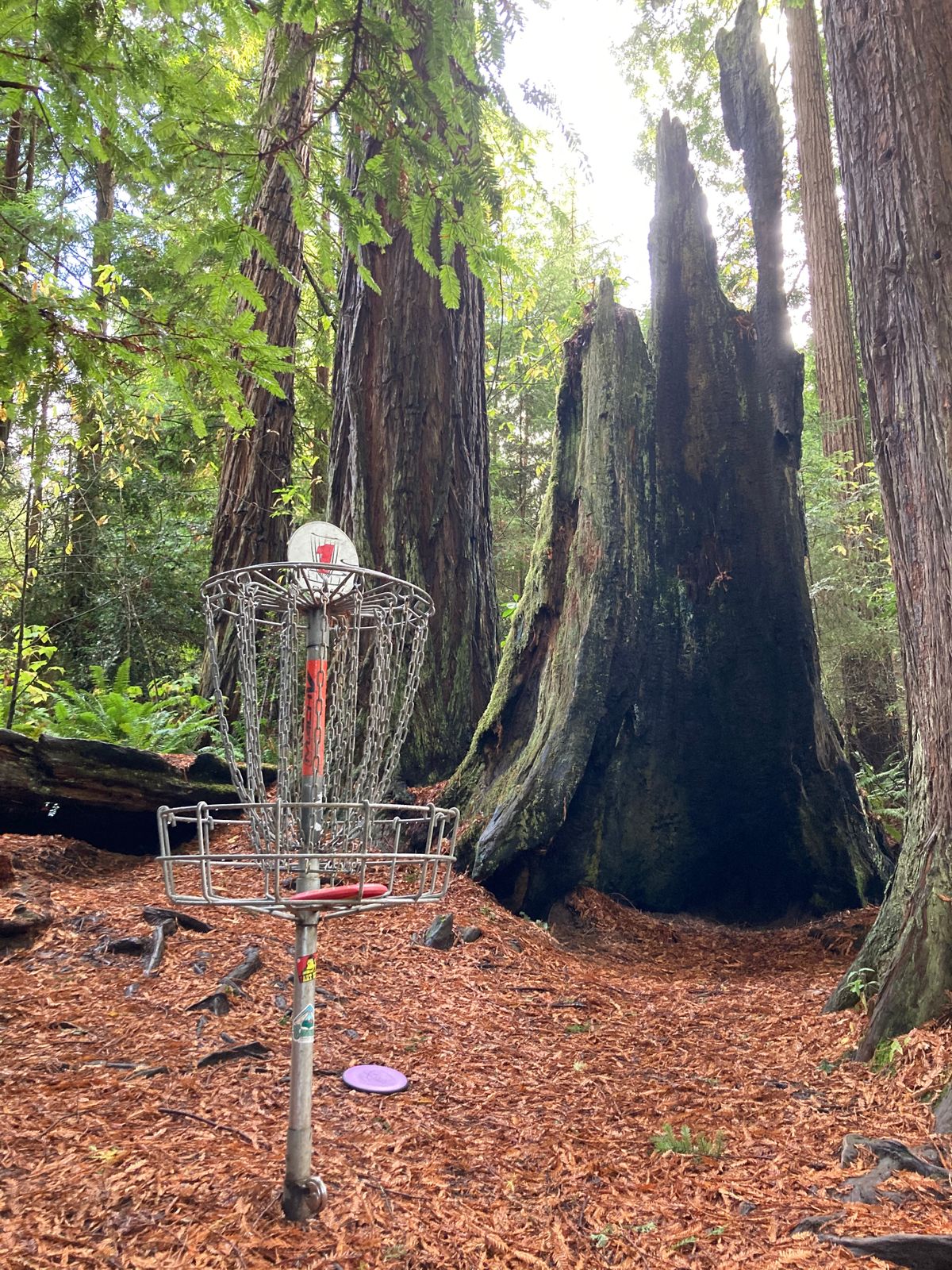 Hole 1