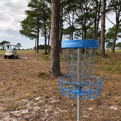 Nice Prodigy Baskets