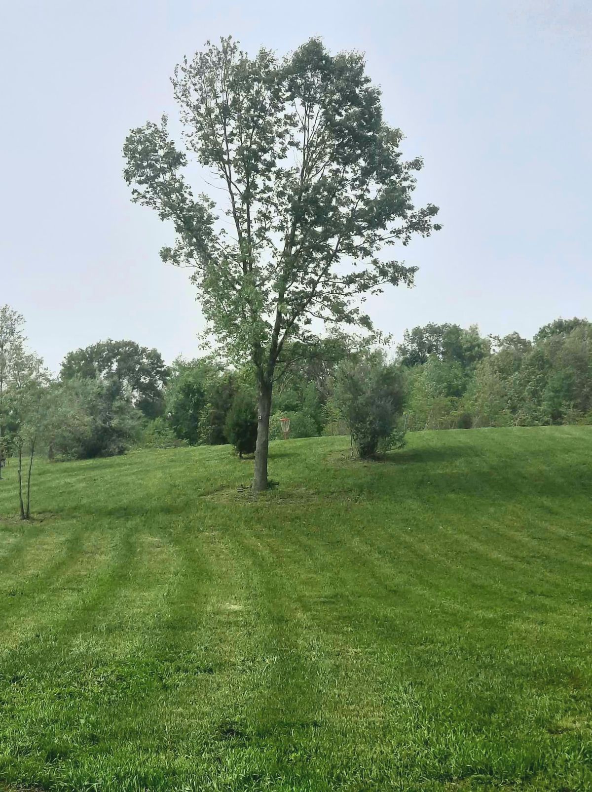 Hole 7