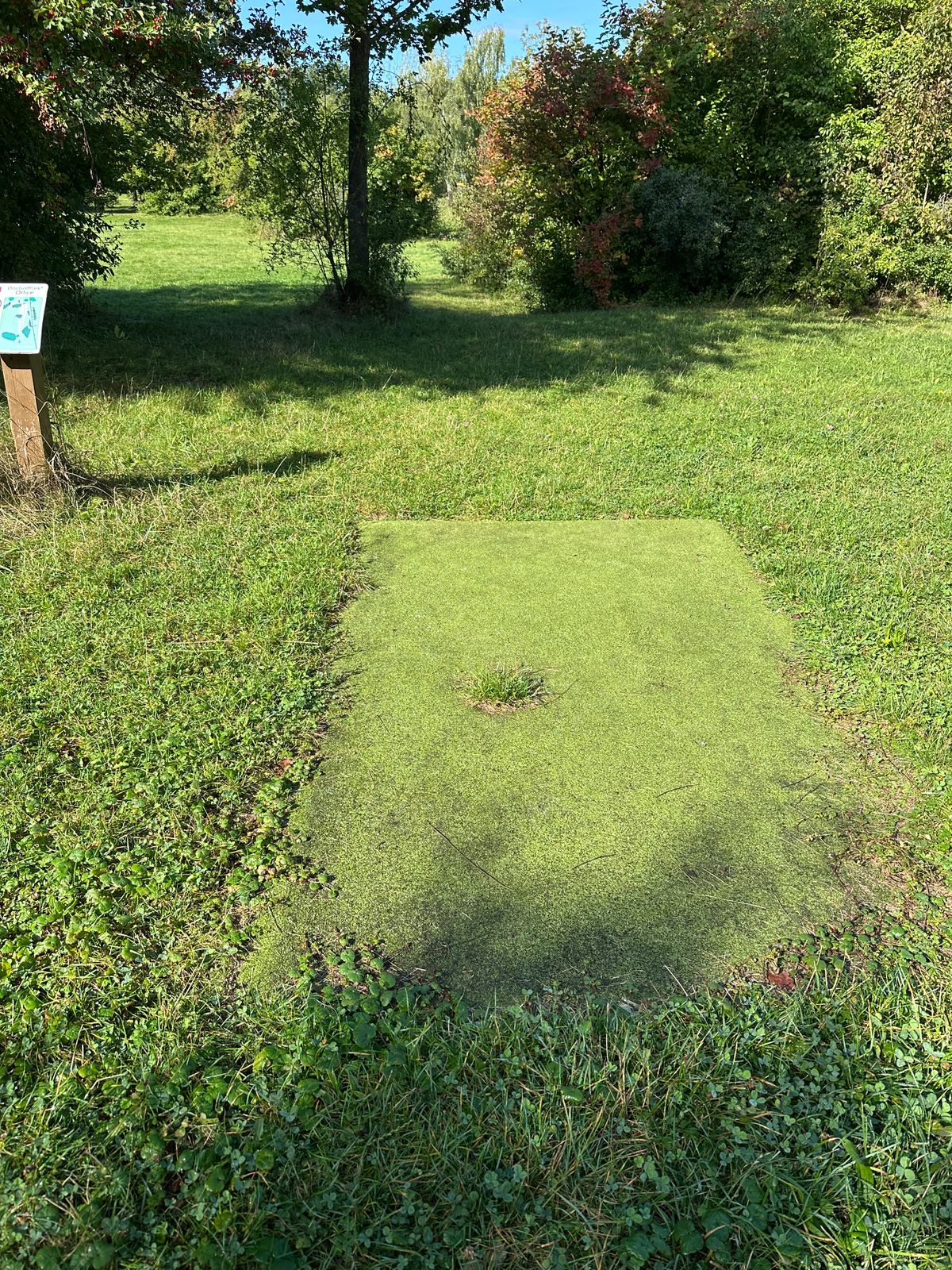 “Fairway ” 6
