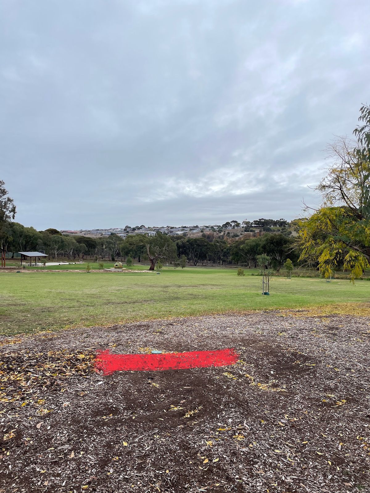 Hole 6 tee. Play is down the paddock to basket 3. Creek OB and flower bed hazard rules apply.