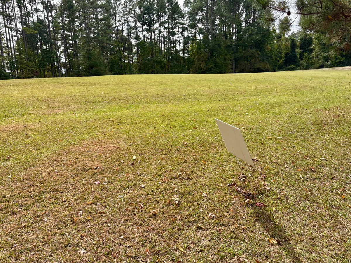 Hole 3 tee