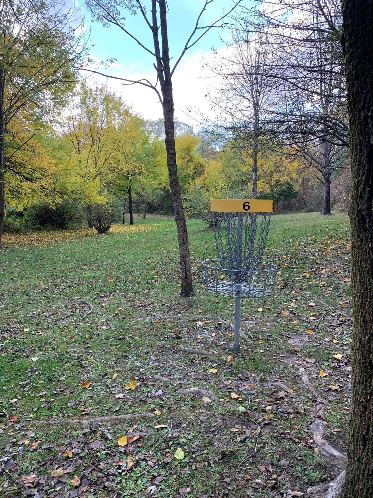 Hole 6 looking back at tee