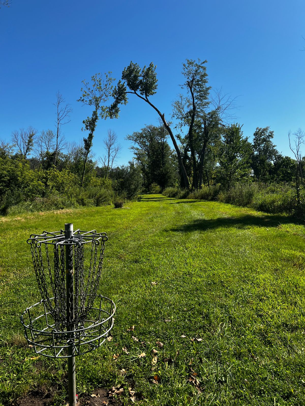 Hole M Basket