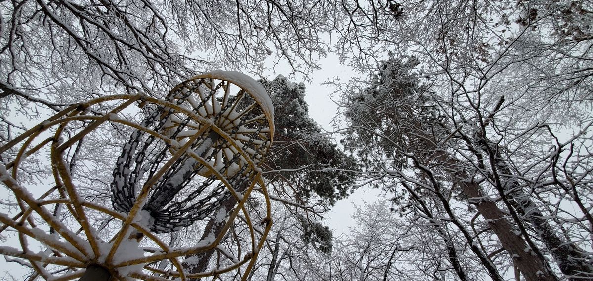 Basket 5 looking up