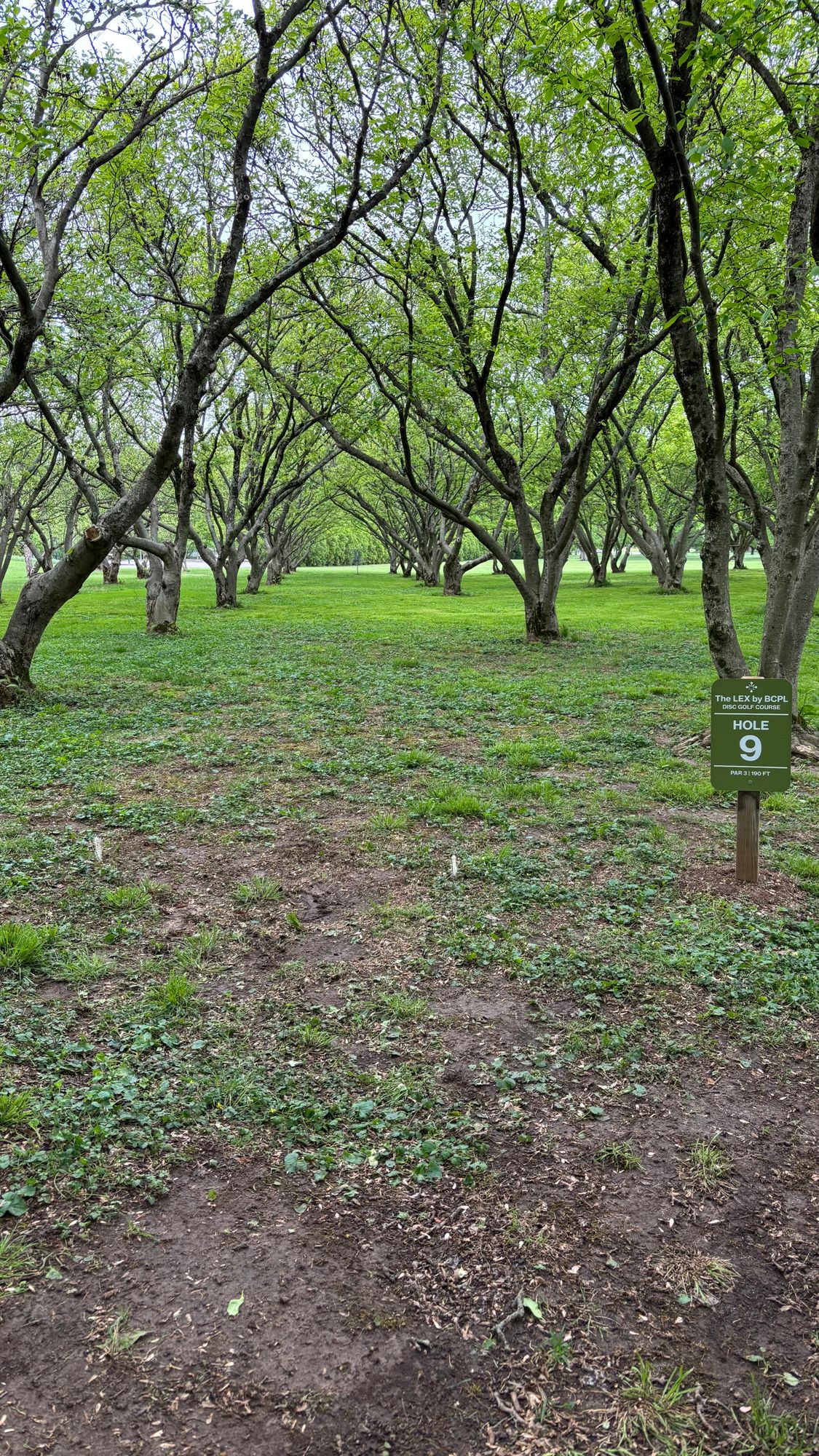 Hole 9 tee