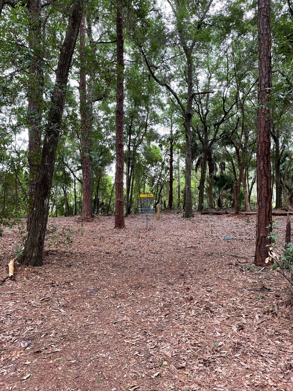 Hole 3