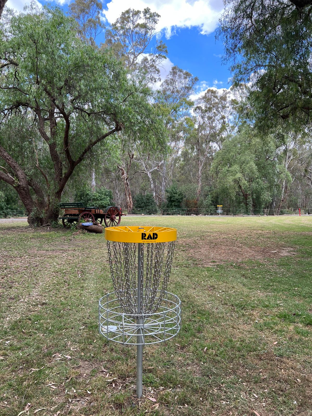 Basket on hole 3