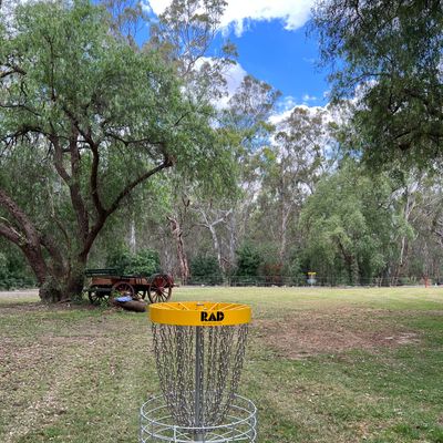 Basket on hole 3
