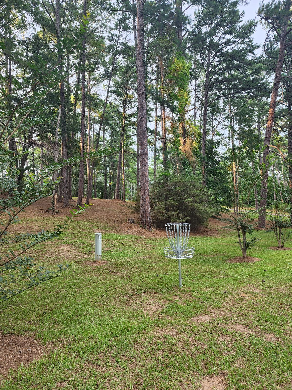 Hole 18 looking back up at the teebox