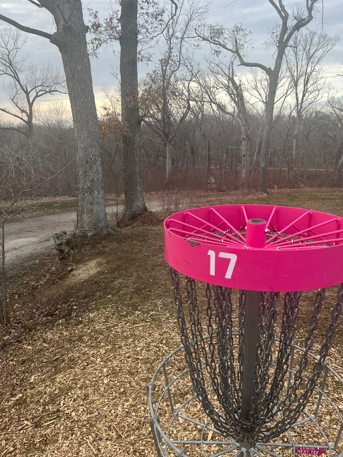 Basket on 17