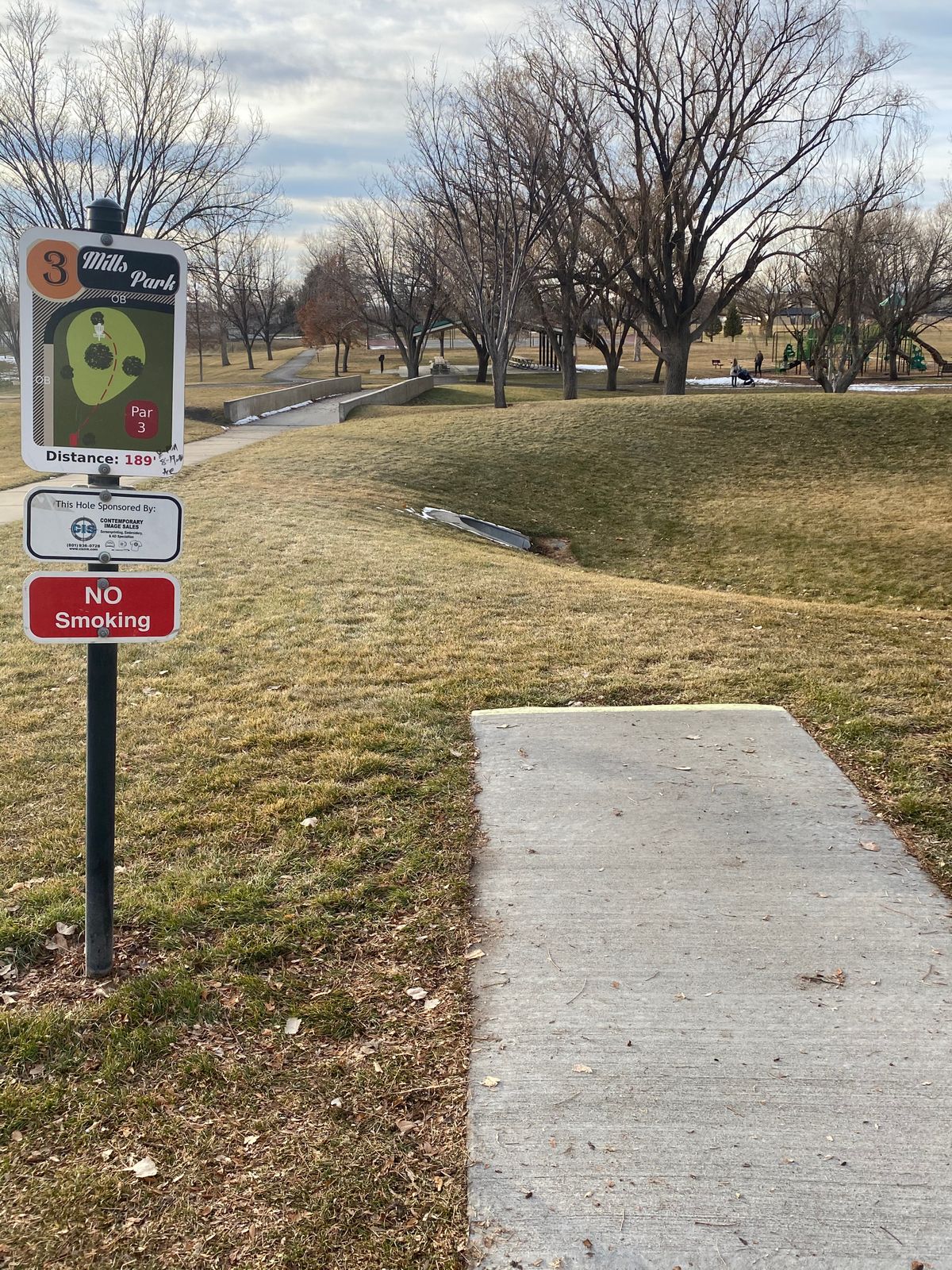 Hole #3 - basket behind biggest tree