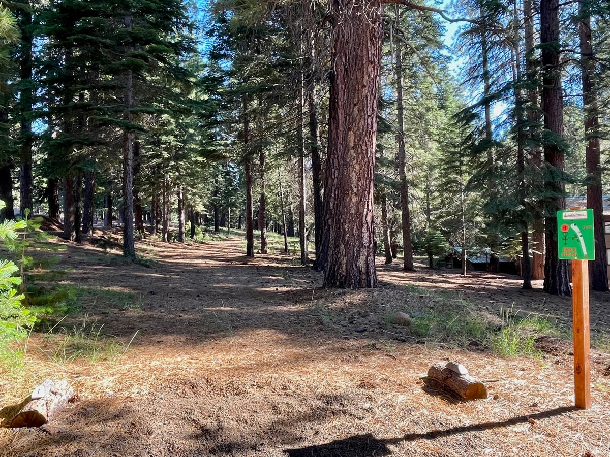 Hole 1 tee pad