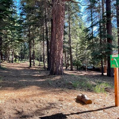 Hole 1 tee pad