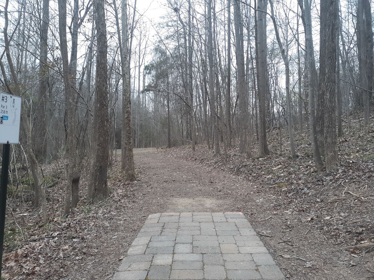 Hole 3