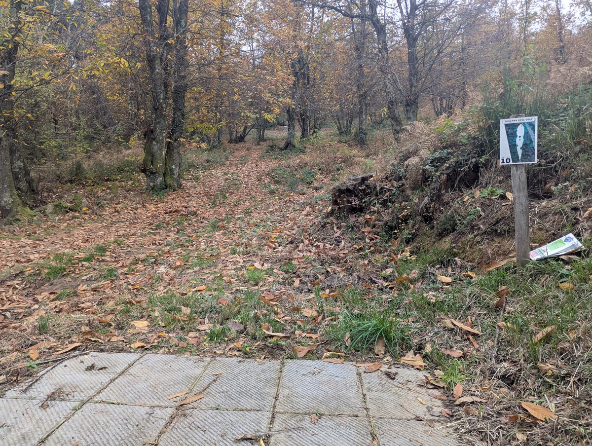 Hole 10 - Looking to basket from teepad.  Beginning of back 10 holes.