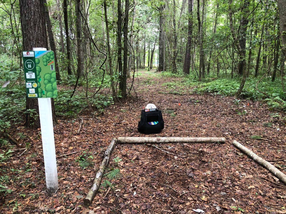 Hole 6 has a mando one must play straight to the pine tree then go dogleg right