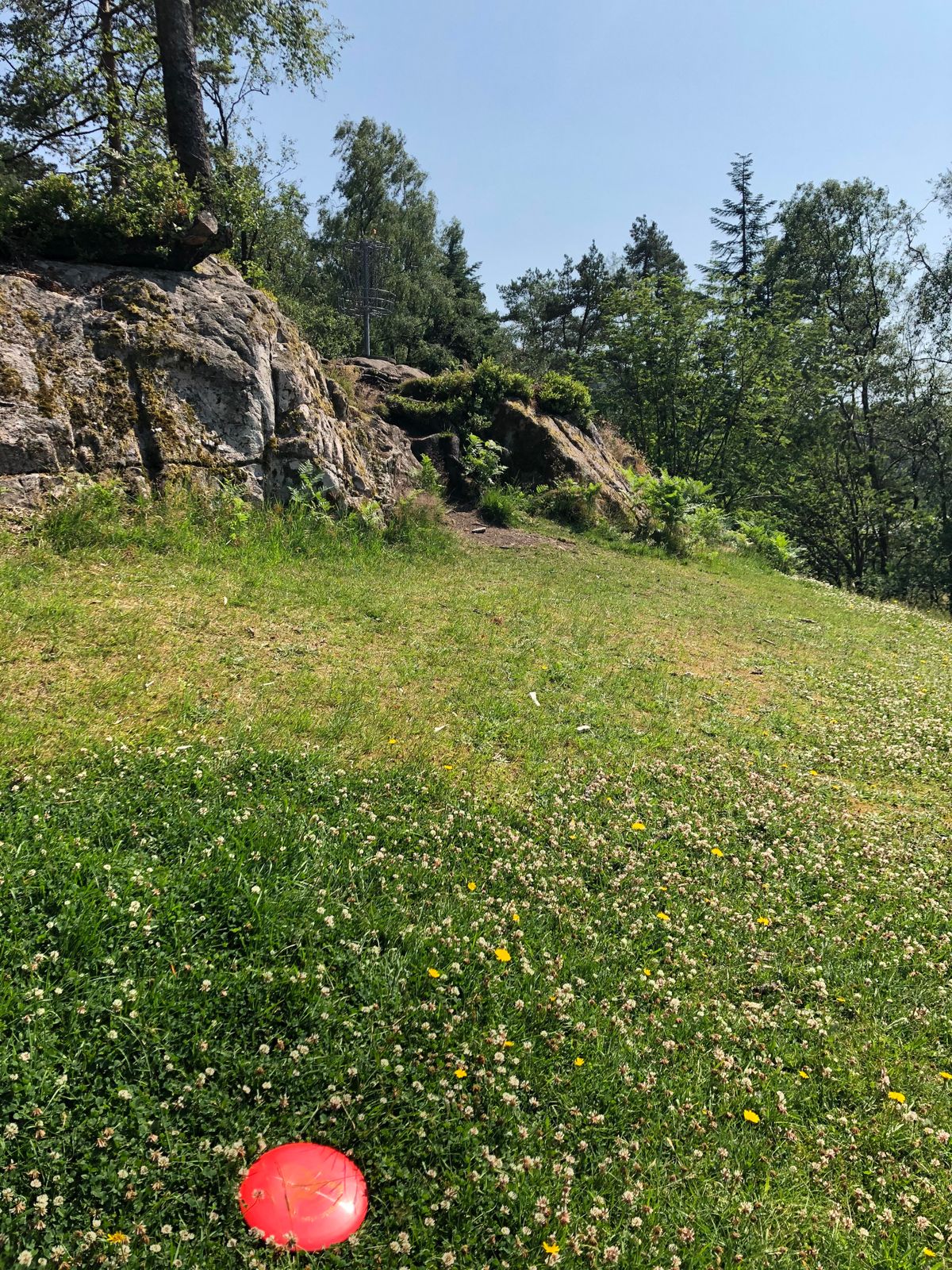 Basket for Hole 14 on top of the rock
