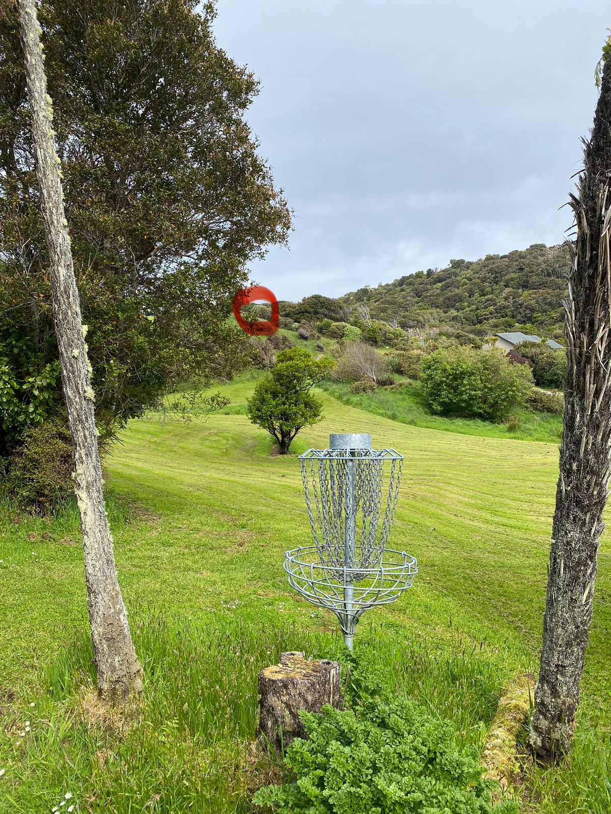 Basket of hole 1. Tee pad circled in red.