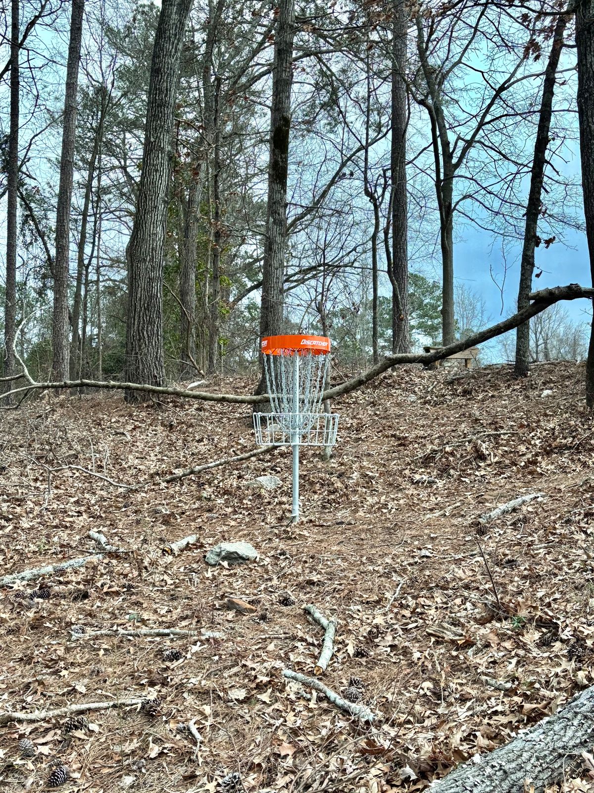 Hole 15 Basket