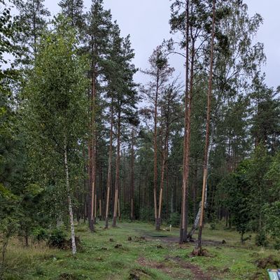 Hole 3 view from the Pro teepad, according to statistics one of the easiest par 4s on the course.