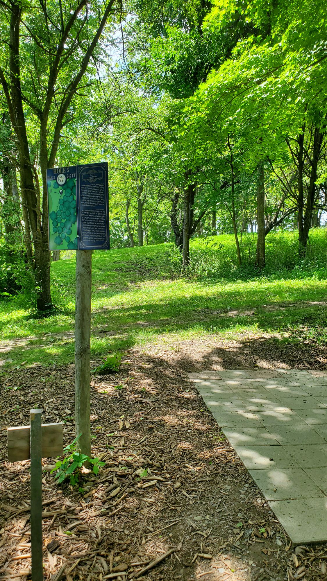 Hole 5s tee pad from whites.  Basket over the hill and to the right.  Nice mix of woods and open area