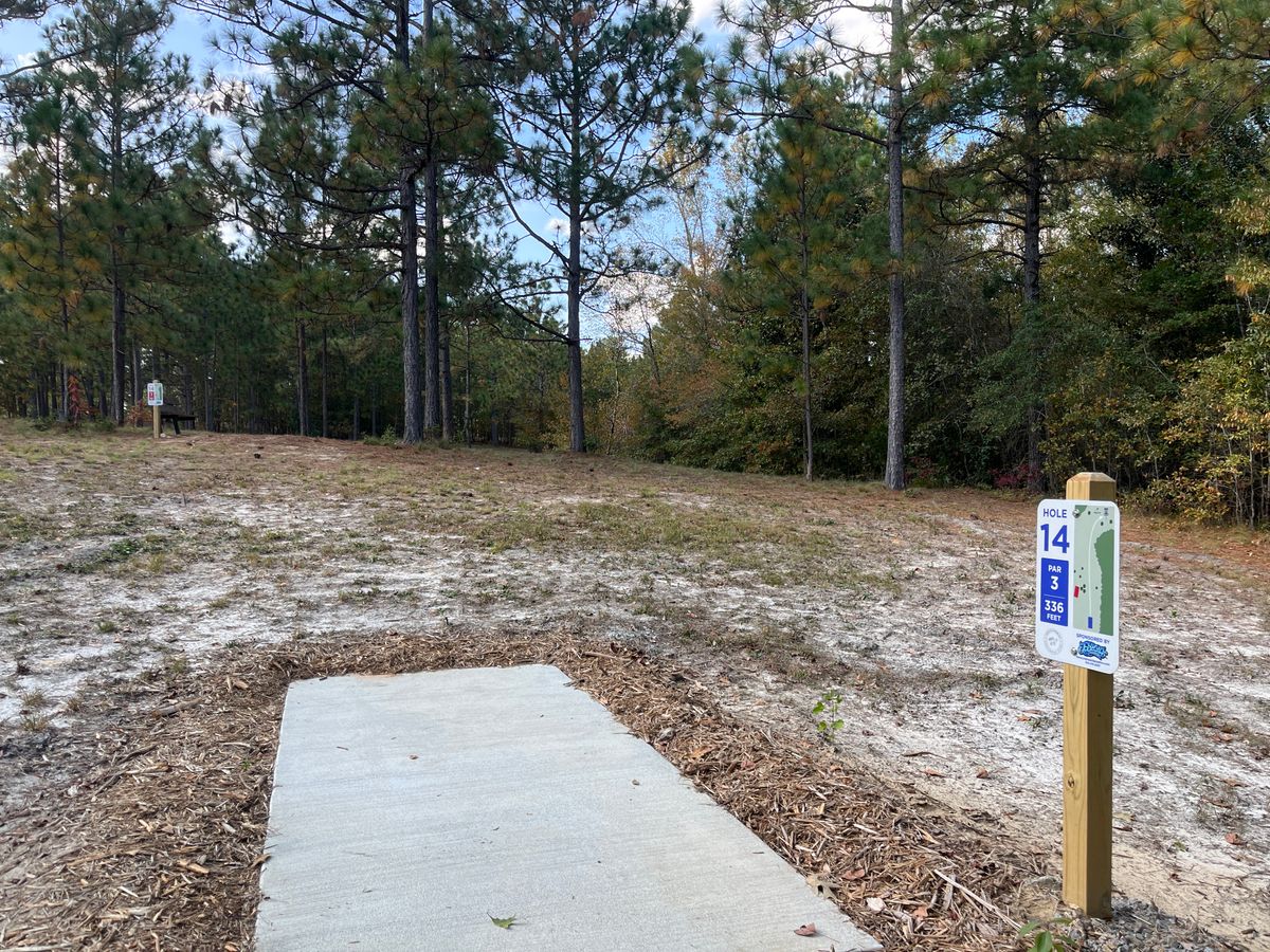 Hole 14 tee