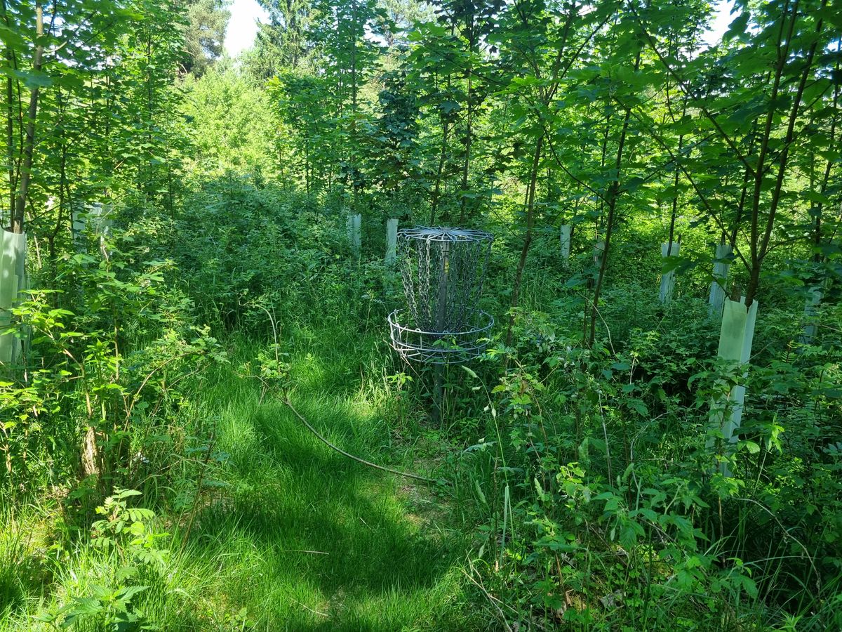 Basket hole 3