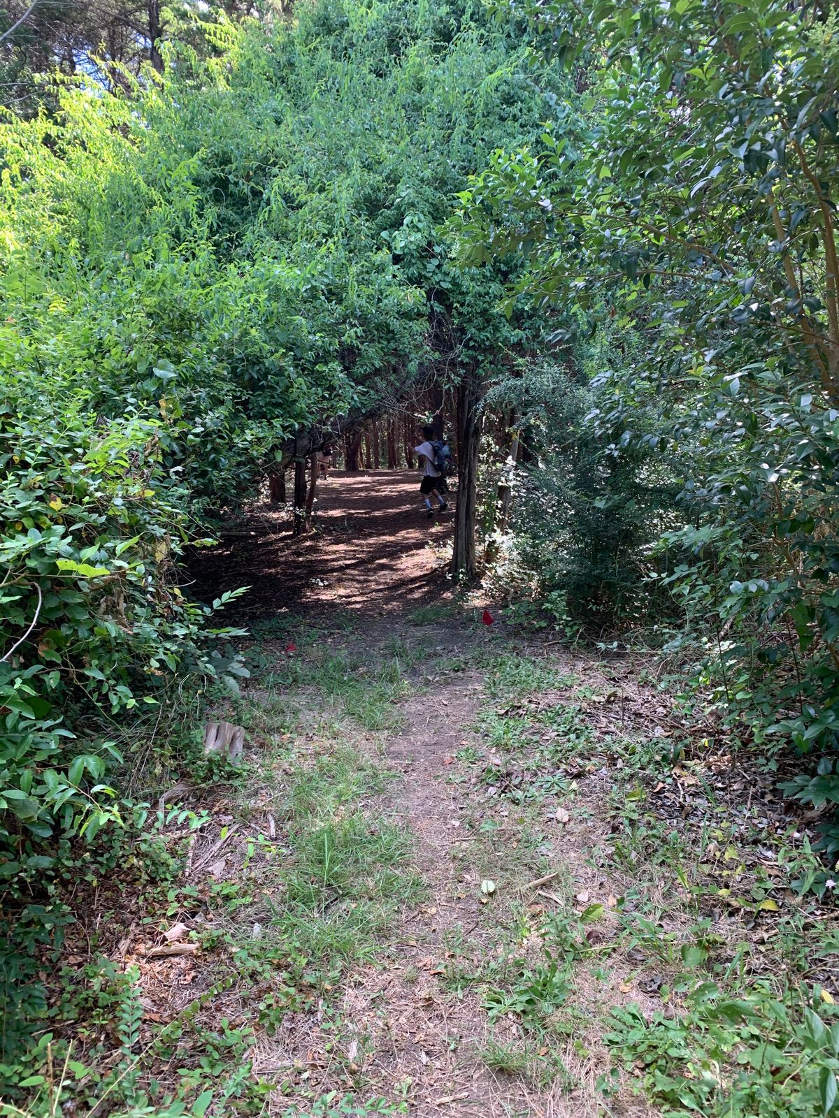 13 thru window tucked in trees straight away.  Pic is from pro tees, Am tees in pic 20-30 ft ahead
