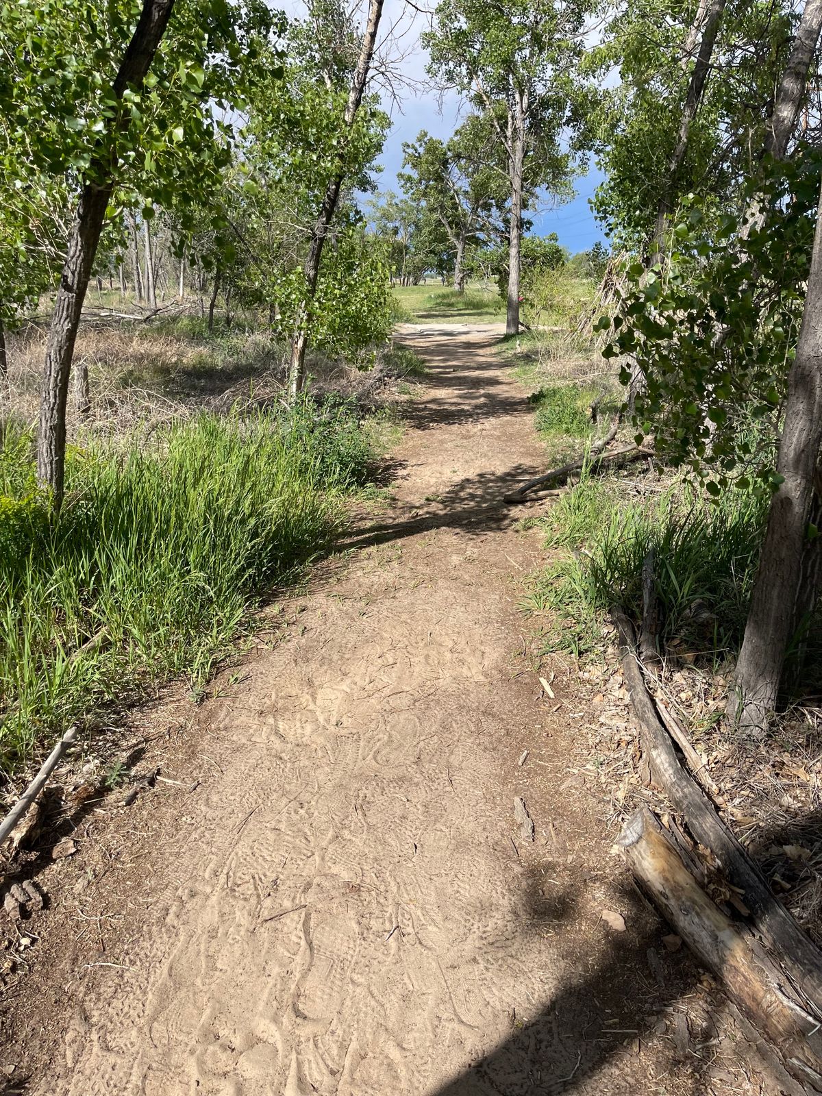Path between 11 & 12