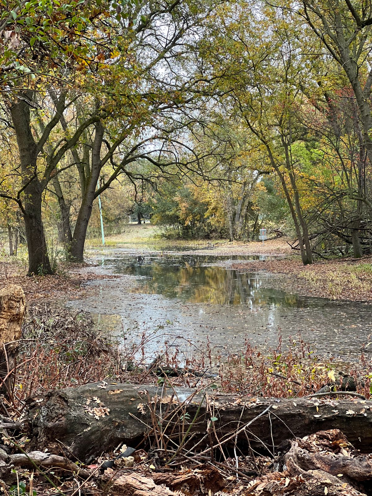 Hole 16 after rain