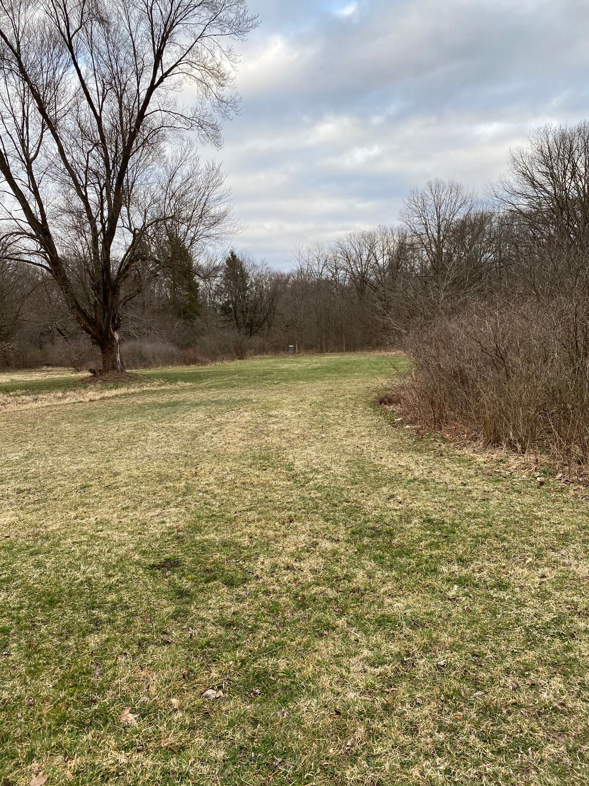 Hole 14 tee
